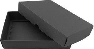 Schachtel (28x23x5cm) 1579037